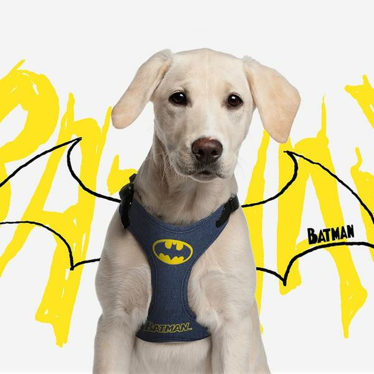 Szelki dla psa Batman XXS/XS Niebieski
